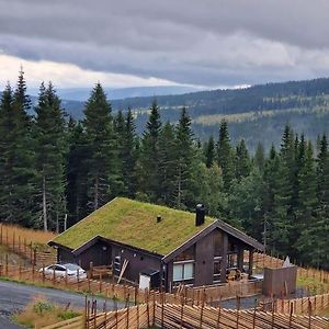 New Cabin With Jacuzzi, Sauna And Ski Inout Svingvoll Exterior photo