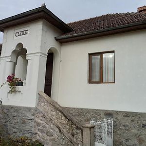 Casa Barbulescu Apartment Vaideeni Exterior photo