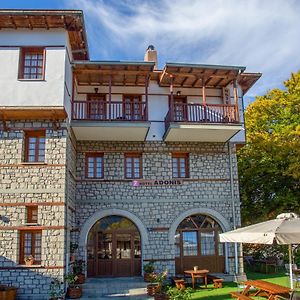 Hotel Adonis Metsovo Exterior photo