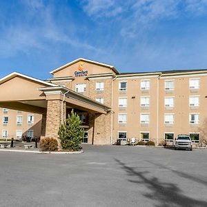 Comfort Inn & Suites Airdrie Exterior photo