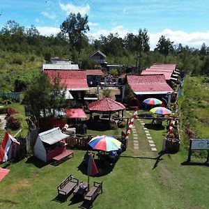 Collection O 93000 Karona Berg Homestay & Cafe Banyuwangi  Exterior photo