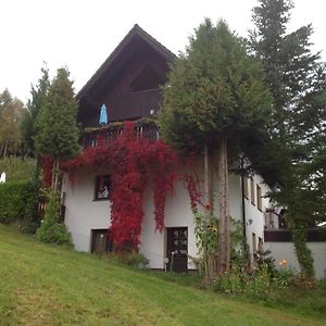 Waldblick Apartment Tannenberg Exterior photo