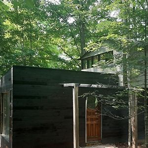 Black Pine Tree House Acton Exterior photo