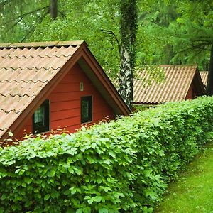 Waldidylle - Bungalows An Der Talsperre Kriebstein Exterior photo