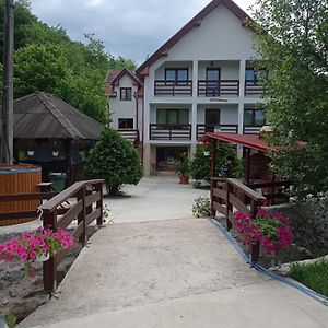 Pensiunea Valea Toplitei Hotel Rosia Exterior photo