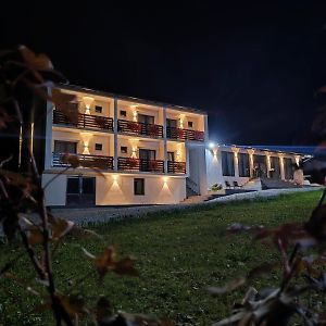 Flori De Tei Maramures Hotel Sacel  Exterior photo