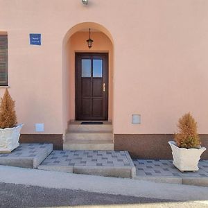 Lucijana Apartment Novigrad  Exterior photo