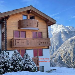 250M Zur Hannigalp Und Bergpanorama Apartment Grachen Exterior photo