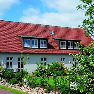 Studio In Buchholz Am Mueritzsee Apartment Exterior photo