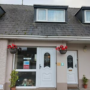 Airbnb Guesthouse Athlone Exterior photo