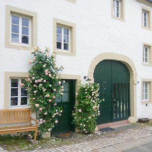 Living-In-History: Historischer Charme Und Design Apartment Dudeldorf Exterior photo