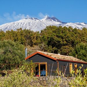 Podere Dell'Etna Segreta - Essential Nature Hotel Biancavilla Exterior photo