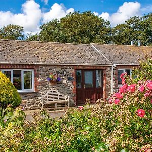 Clun Moch - Qc1666 Villa Llandeloy Exterior photo