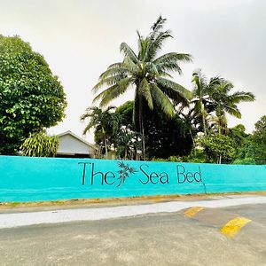 The Sea Bed Seychelles Apartment Beau Vallon  Exterior photo