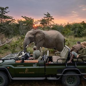 Royal Malewane Villa Thornybush Game Reserve Exterior photo