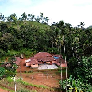 Badamane Jungle Stay - Jeep Ride & Mountain View Chikmagalur Exterior photo