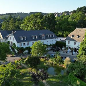 Hotel Und Weingut Karlsmuehle Mertesdorf Exterior photo