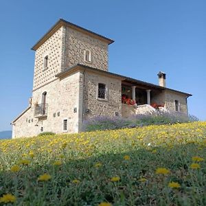 Agriturismo Torre Gialluise Villa Gesualdo Exterior photo