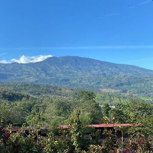 Hotel Green Mountain Turrialba Exterior photo