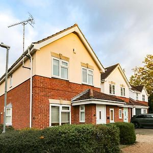 Comfortable 3 Bed House In Chelmsford Villa Exterior photo