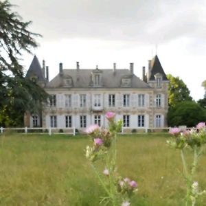 Chateau De Famille En Poitou Villa Coudavid Exterior photo