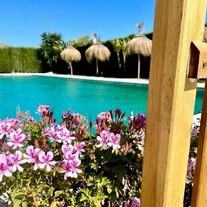 Gatu Siroco Junto La Playa, Piscina, Aire Acc, Terraza, Solo Familias O Grupos De Mayores De 25 Anos Apartment El Puerto de Santa Maria Exterior photo