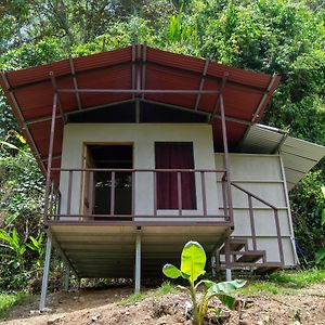 Rio Verde Ecolodge Puerto Jimenez Exterior photo