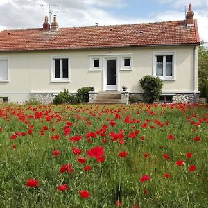 Gite Des Sablons Villa Muides-sur-Loire Exterior photo