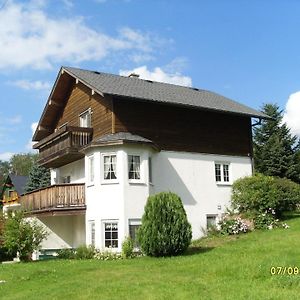 Ferienhaus Fuer 10 Personen In Vogelsgruen, Sachsen Vogtland Villa Bad Reiboldsgruen Exterior photo