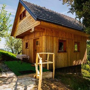 Wooden Chalet - Homestead Vrhovc Zelezniki Exterior photo