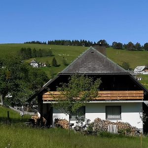 Schwarzwaldhaus Sonnenstrasse, Oberried-Hofsgrund, Dreisamtal Villa Oberried  Exterior photo