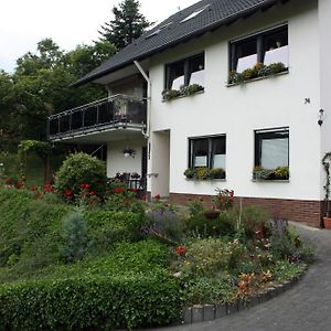 Auf Dem Kleeberg Apartment Niederzissen Exterior photo