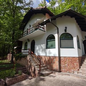 Kuca Za Odmor Lisine Villa Despotovac Exterior photo