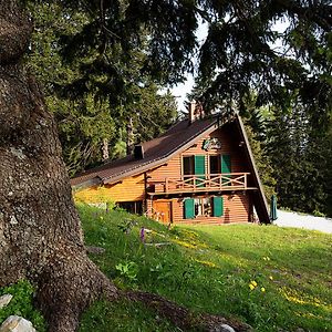 Chalet Alpinka Villa Cerklje na Gorenjskem Exterior photo