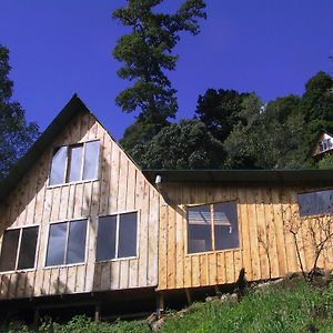 Quetzal Valley Cabins San Gerardo de Dota Exterior photo