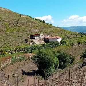 Casa Da Quinta Do Porto Villa Lamego Exterior photo