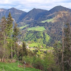 Apartment Rheintal Im Alpenvorland Batschuns Exterior photo