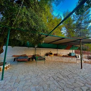 Oak Farm مزرعة الملّول Guest House Ajloun Exterior photo