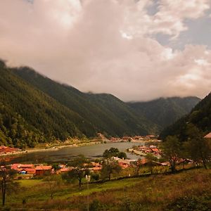 Ilhan Kardesler Apart Otel Uzungol Exterior photo