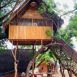 Yala Village Eco Tree House Tissamaharama Exterior photo