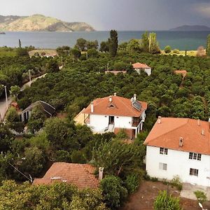 Soul Green Hotel Mugla Exterior photo