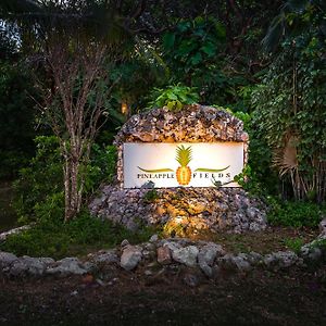 Pineapple Fields Aparthotel Governor's Harbour Exterior photo