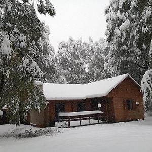 Cabana En Termas De Chillan Villa Pinto Exterior photo