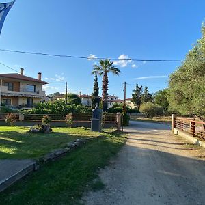 Filemial House Apartment Agios Mamas  Exterior photo