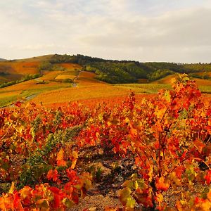 Le Panoramic Chiroubles Beaujolais Villa Exterior photo