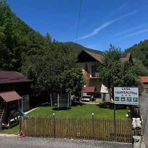 Pensiunea Casa Transalpina Hotel Sugag Exterior photo