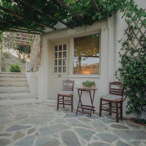 Countryside Nest I Naxos Apartment Naxos City Exterior photo