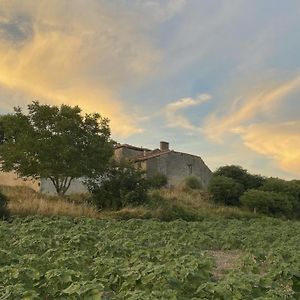 La Chaumiere Villa Salles-Lavalette Exterior photo