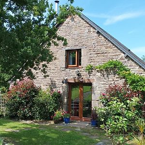 Le Moulin Des Hiboux - Gite Avec Salle De Jeux Games Room Fontenay  Exterior photo