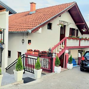 Guesthouse Jelena Visegrad Exterior photo